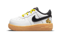 Air Force 1 Low '07 LV8 TD "Go The Extra Smile" DO5863 100