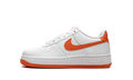 AIR FORCE 1 GS "Pure Platinum/Metallic Silver" FV5948 113