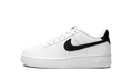 Air Force 1 GS "White / Black" CT3839 100